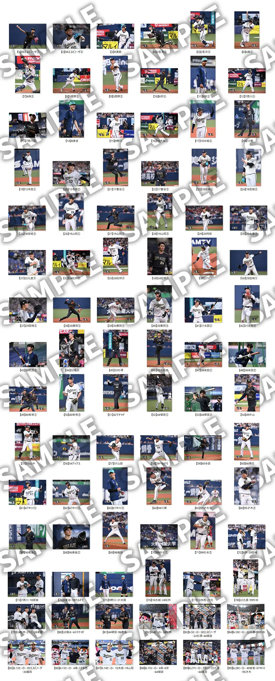 オリックス・バファローズの「マンスリーフォト」オンライン受注が始まります