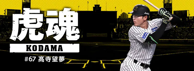 阪神タイガース・髙寺望夢選手、一軍定着に向けた苦闘の日々