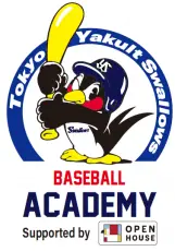 東京ヤクルトスワローズ ベースボールアカデミー 会員募集の案内