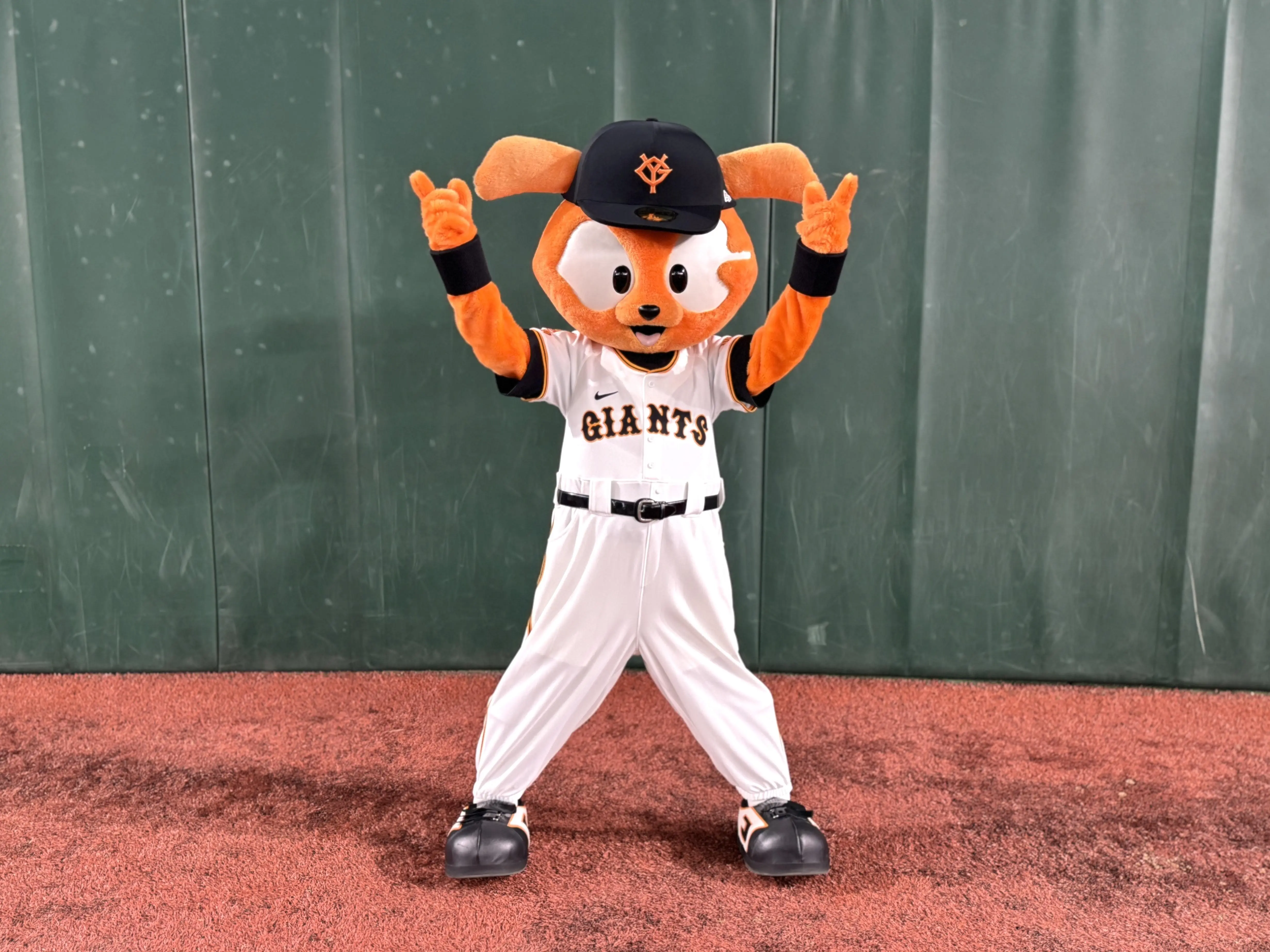 読売ジャイアンツが岐阜で行う公式戦開催記念イベントのお知らせ