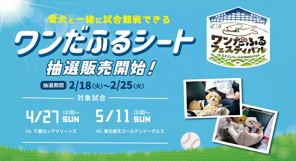 愛犬と一緒に楽しむ！「ワンだふるフェスティバル」開催決定