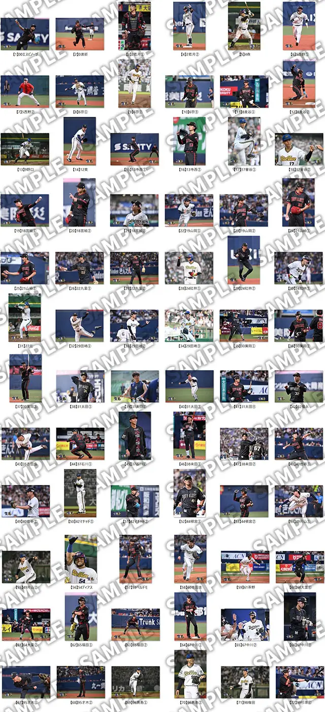 オリックス・バファローズの「マンスリーフォト」オンライン受注が8月19日から始まります!