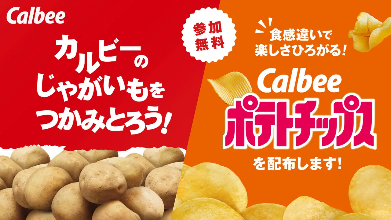 ホークス、今季の補強と若手育成を軸に前進へ