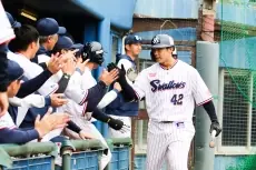 東京ヤクルトスワローズ、広島東洋カープに勝利！澤井選手が勝ち越しホームラン