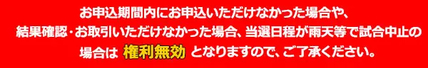 阪神タイガースの新キャンペーン　KIDS会員特典の申込方法をお知らせ