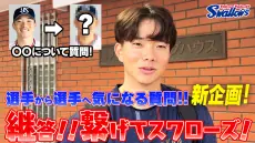 東京ヤクルトスワローズの新たな動画公開とサイン色紙プレゼント企画について