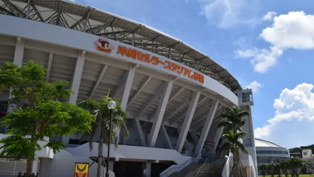 西武ライオンズの応援ツアーが登場!沖縄と福岡で特別な体験を!