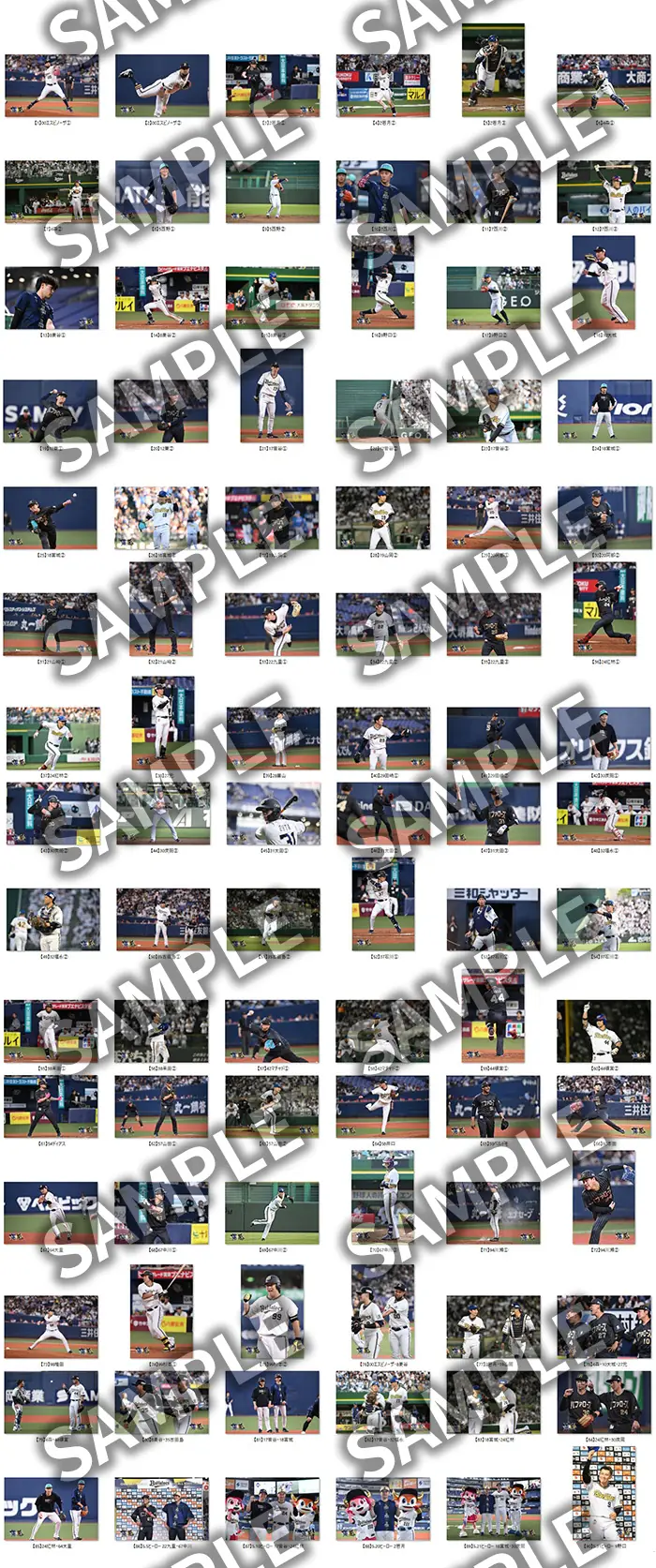 オリックス・バファローズの「マンスリーフォト」オンライン受注がスタート！