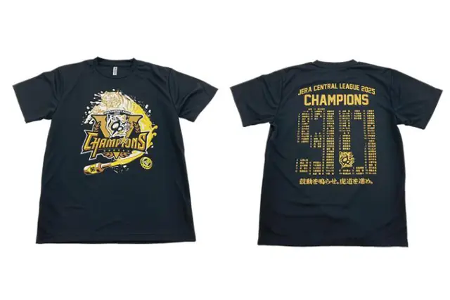 来季へ向けた阪神タイガースの戦力構成と育成方針をわかりやすく解説