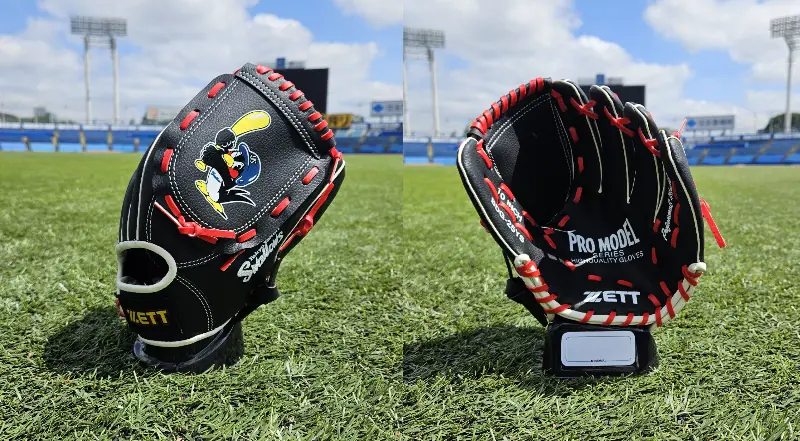 東京ヤクルトスワローズの年間シート特典付チケット販売が始まる！