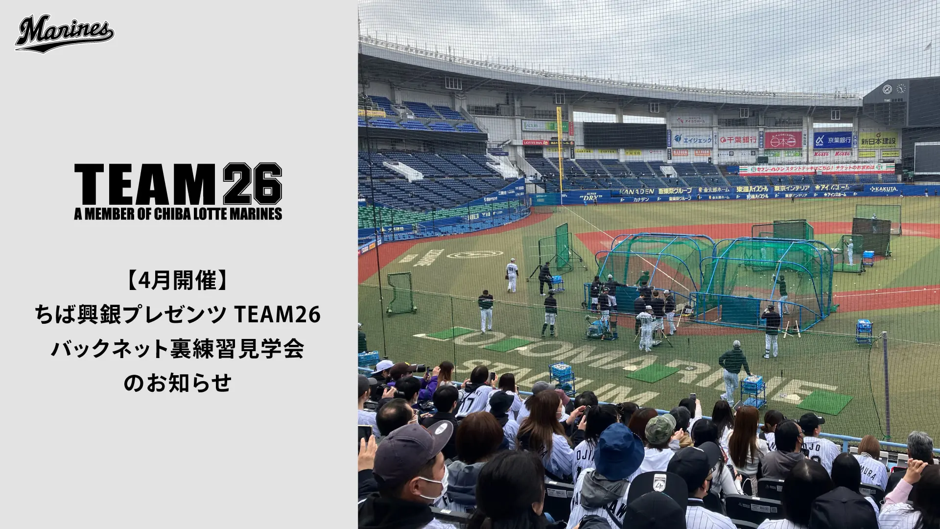 千葉ロッテマリーンズ「TEAM26バックネット裏練習見学会」開催のお知らせ