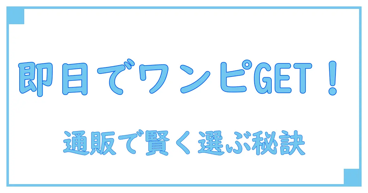 ワンピースが即日発送で手に入る！通販での賢い選び方とポイント解説