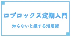 ロブロックス 定期購入とは？知らないと損する仕組みとメリットを徹底解説！