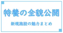 新規オープン！注目の施設『特別養護老人ホーム』の全貌と知っておくべきポイント