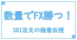 SBI FXの注文数量とは？初心者でもわかる基本解説と取引のポイント