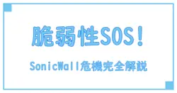 SonicWall SSL-VPNの脆弱性を徹底解説！あなたのネットワークを守るために知るべきポイント
