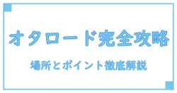 サポートチャンスオタロード店場所を徹底解説！知っておくべきポイントとは？