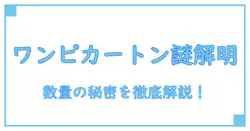 ワンピースのカートンは何個入り？基本知識から数量の謎を徹底解説！