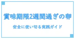 卵 賞味期限切れ 2週間 レシピで考える安全な使い方と注意点