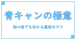スト6 キャンセルタイミング 青: 初心者にも分かる基礎と運用のコツ