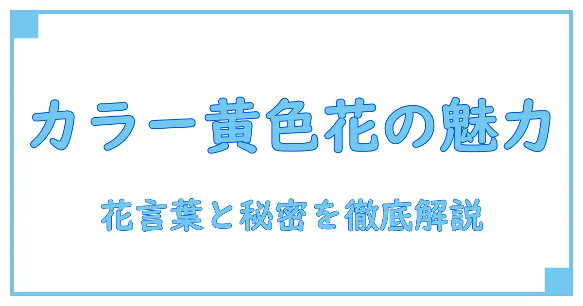 カラーと黄色い花が持つ魅力と深い花言葉を徹底解説!
