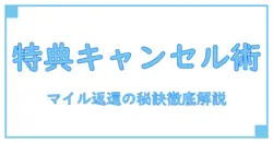 ユナイテッド航空の特典航空券キャンセルとマイル払い戻しの完全ガイド！知っておくべき注意点とは？