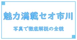 セオサイクル 市川北口2号店の魅力を写真で徹底解説！
