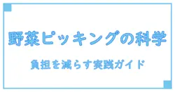 野菜 ピッキング きついを科学する：体への負担と無理なく乗り切る知識解説