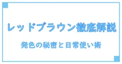 ウォニョン カラコン レッドブラウンを徹底解説｜発色の秘密と日常使いの基礎知識