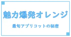 今注目のリーゼティントカラージェル『アプリコットオレンジ』の魅力と使い方を徹底解説！