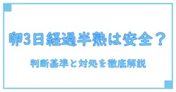 卵の賞味期限切れが3日経過したときの半熟は安全か?正しい判断基準と対処法