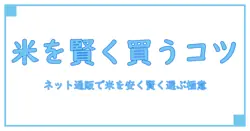 米を賢く買う!ネット販売で安い米を見つけるコツと注意点