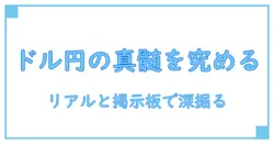 為替の真髄を理解する：ドル円のリアルタイムと掲示板で深める知識