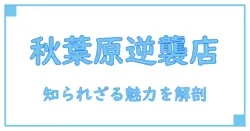 ショップインバース 秋葉原2号店 詳細レビュー！知られざる魅力を深掘り解説