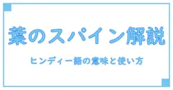 leaf spines meaning in hindi: 植物の葉のスパインの意味を分かりやすく解説