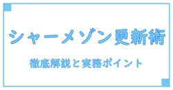 シャーメゾン 賃貸 更新手続き 全手順を徹底解説—知らないと損する実務ポイント