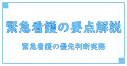 緊急時訪問看護加算 24時間対応体制加算 優先を正しく理解する：知識で深める介護の備え