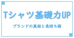 tシャツ メンズ 人気ブランド 服の基礎知識を深掘りする:知識系ブロガーが解説