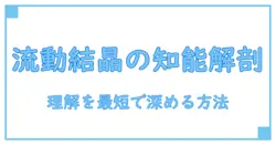 流動性知能と結晶性知能の違いを完全解剖！知識習得を最短で深める新しい理解法