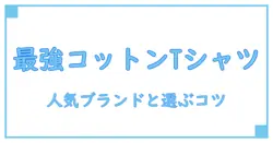 コットン tシャツ 人気ブランド メンズを知ると、毎日の着こなしが変わる――基礎知識と選び方のポイント