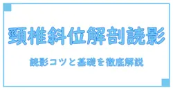 c spine oblique x ray anatomyを徹底解説：頸椎の解剖と読影のポイントをわかりやすく