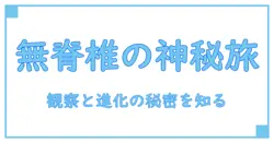 spineless animals listで学ぶ無脊椎動物の世界: 驚きの生態と進化の要点