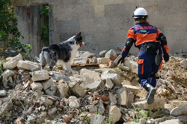 オリックス・バファローズ、今季の戦力構成と課題を客観的に分析