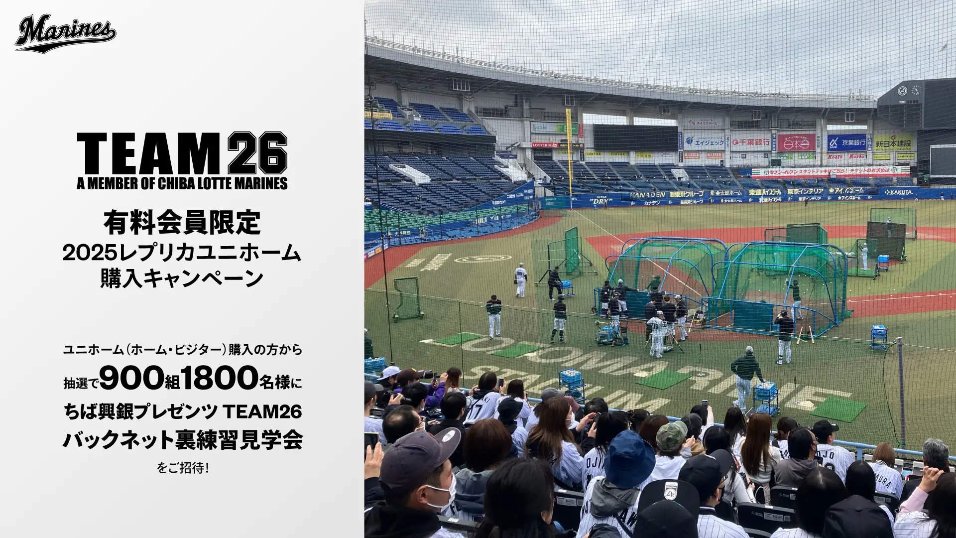 千葉ロッテマリーンズのユニホーム購入者に特別な練習見学会を開催