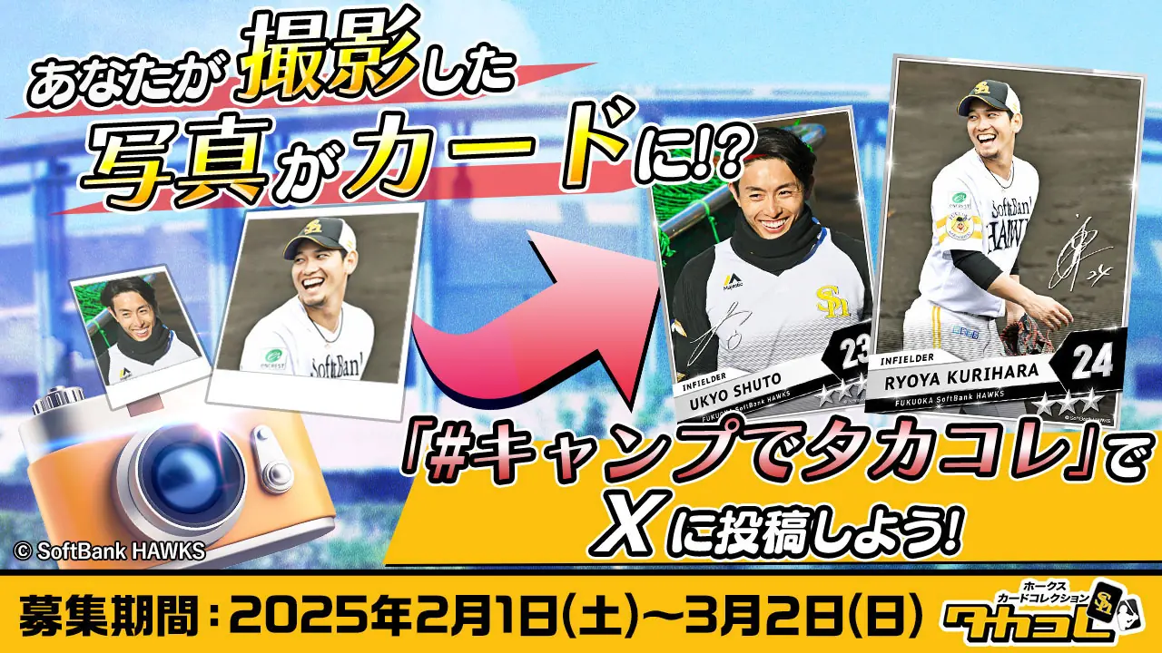 ホークスの「キャンプでタカコレ」イベントが帰ってくる！ファン必見の参加方法
