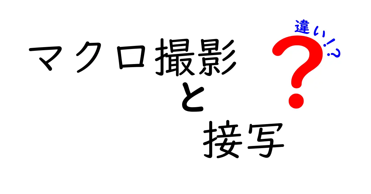 マクロ撮影と接写の違いを徹底解説！初心者が押さえる使い分けと撮影コツ