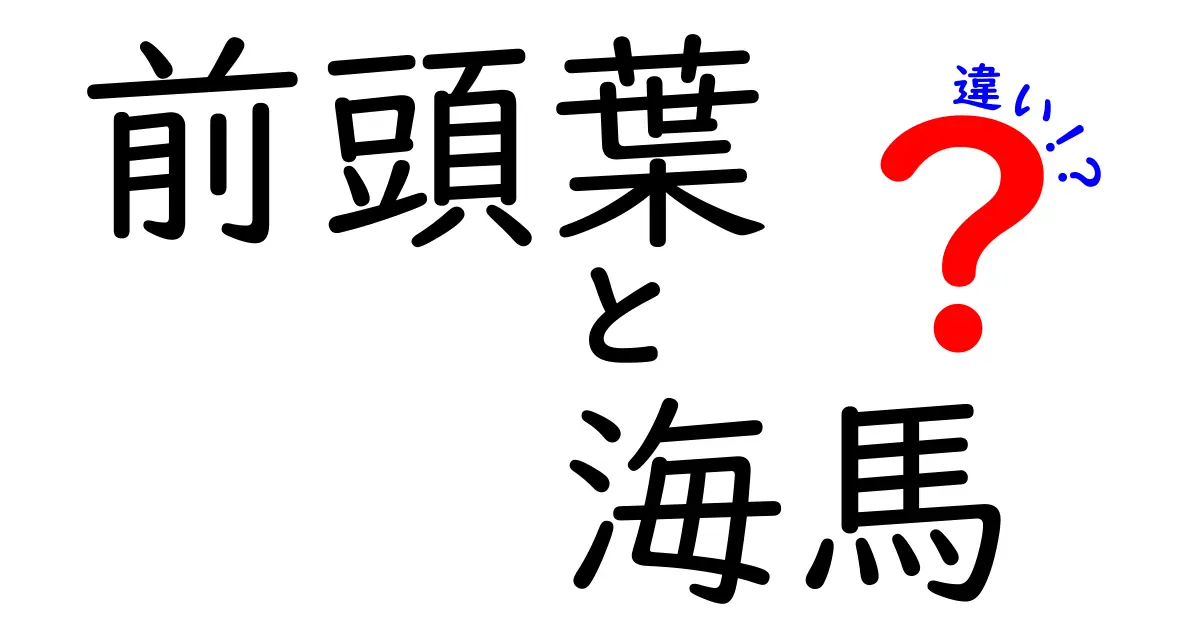 前頭葉と海馬の違いをわかりやすく解説!脳の働きを理解するための超入門ガイド