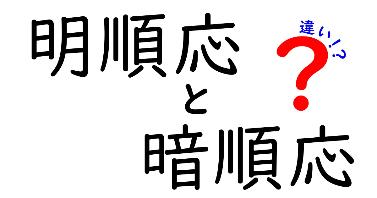 明順応と暗順応の違いとは？目の仕組みをわかりやすく解説！