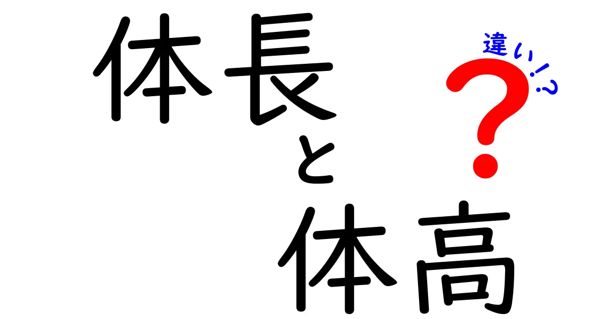 体長と体高の違いって何?図解つきで学ぶ見分け方と例