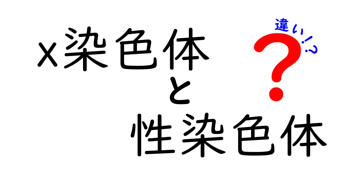 X染色体と性染色体の違いをわかりやすく解説！中学生にも伝わる図解つき